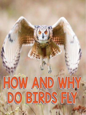 cover image of How and Why Do Birds Fly